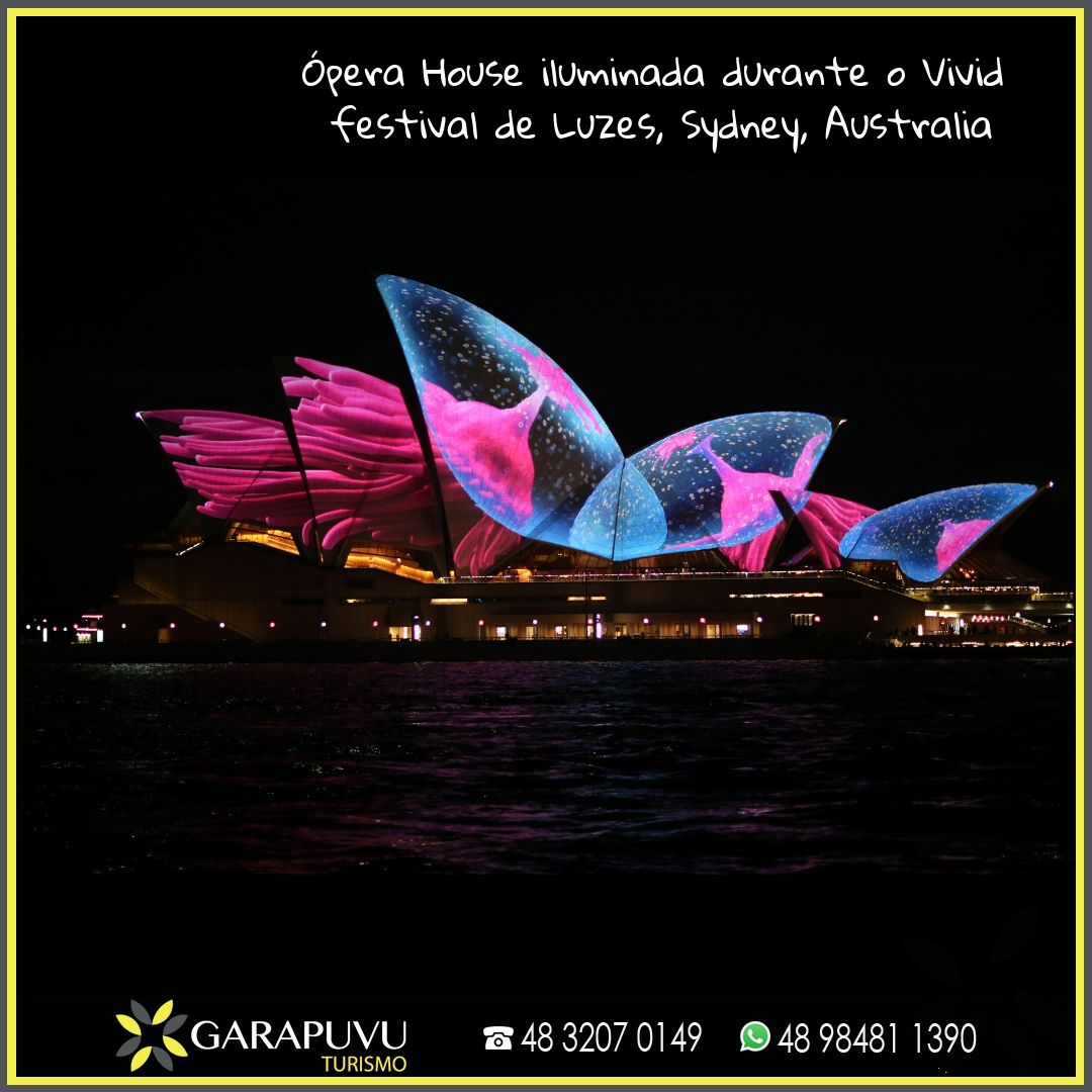 Vivid Sydney Festival !